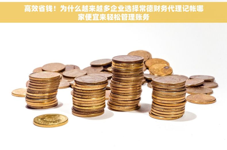 高效省钱！为什么越来越多企业选择常德财务代理记帐哪家便宜来轻松管理账务