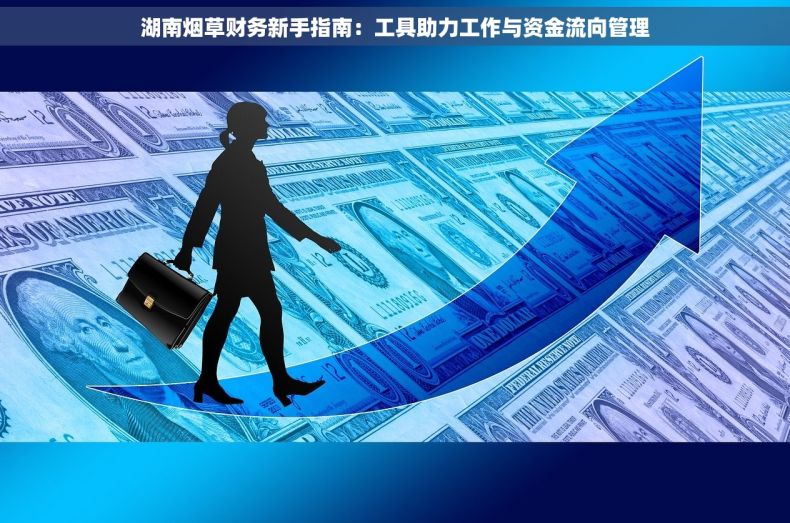 湖南烟草财务新手指南：工具助力工作与资金流向管理