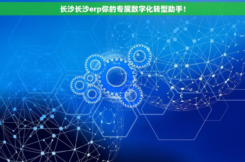 长沙长沙erp你的专属数字化转型助手！