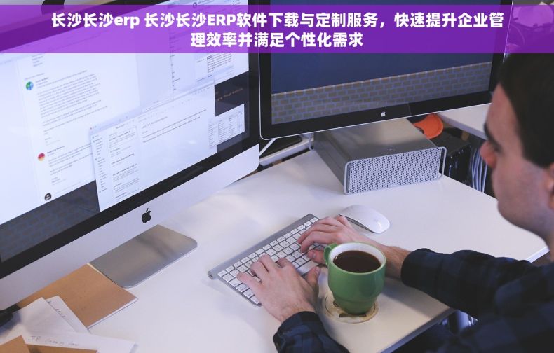 长沙长沙erp 长沙长沙ERP软件下载与定制服务，快速提升企业管理效率并满足个性化需求