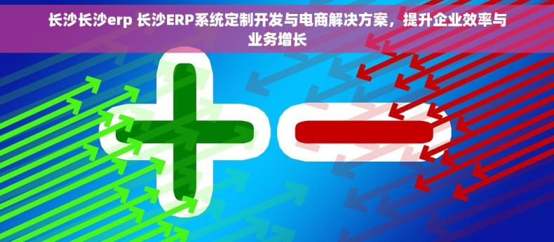 长沙长沙erp 长沙ERP系统定制开发与电商解决方案，提升企业效率与业务增长