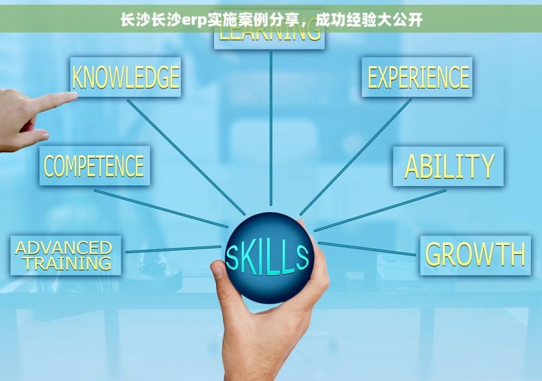 长沙长沙erp实施案例分享，成功经验大公开