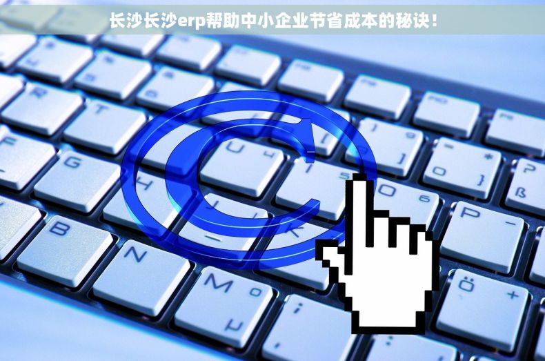 长沙长沙erp帮助中小企业节省成本的秘诀！