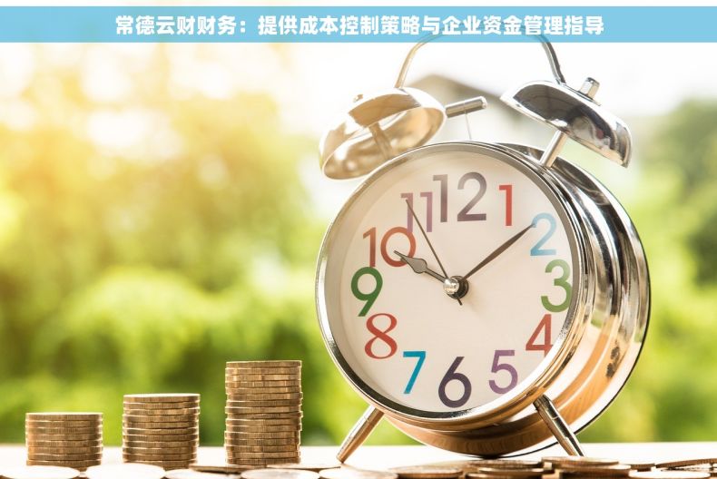 常德云财财务：提供成本控制策略与企业资金管理指导