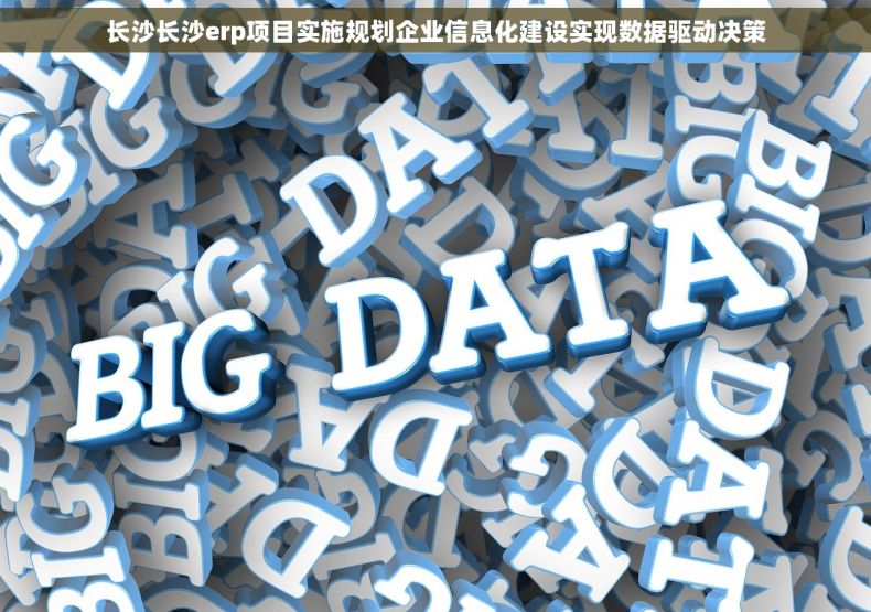 长沙长沙erp项目实施规划企业信息化建设实现数据驱动决策