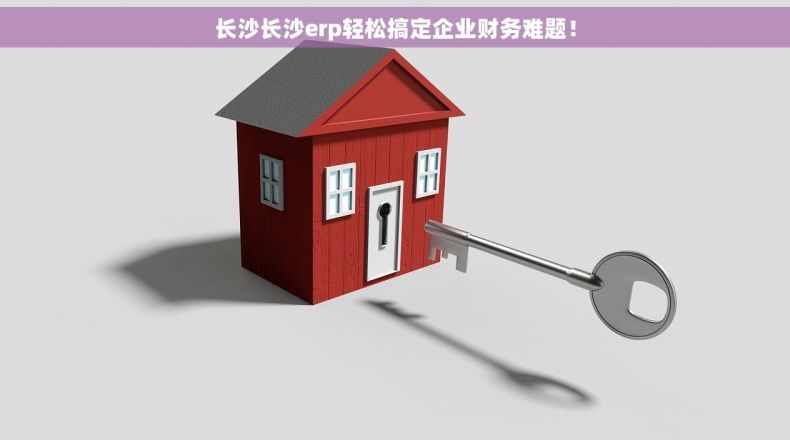 长沙长沙erp轻松搞定企业财务难题！
