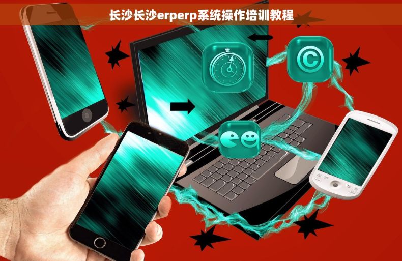 长沙长沙erperp系统操作培训教程