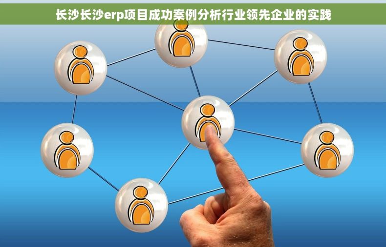 长沙长沙erp项目成功案例分析行业领先企业的实践