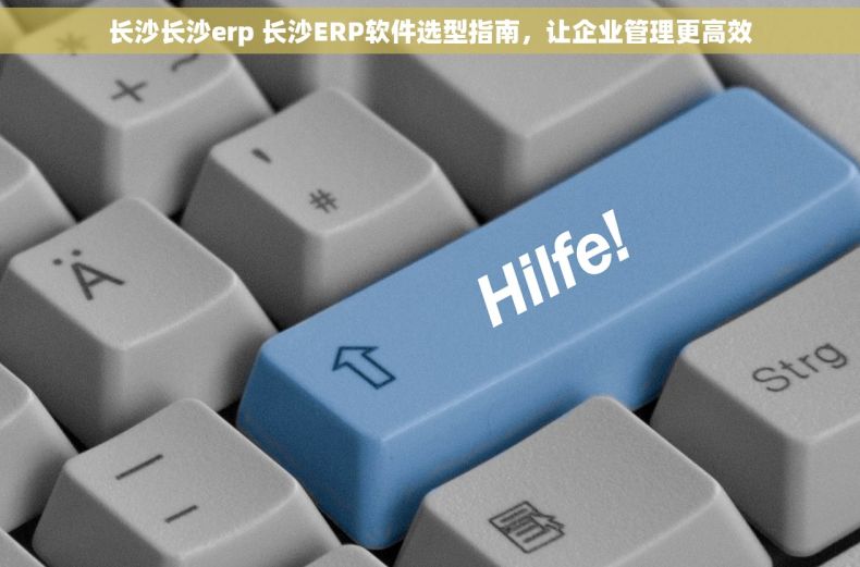 长沙长沙erp 长沙ERP软件选型指南，让企业管理更高效
