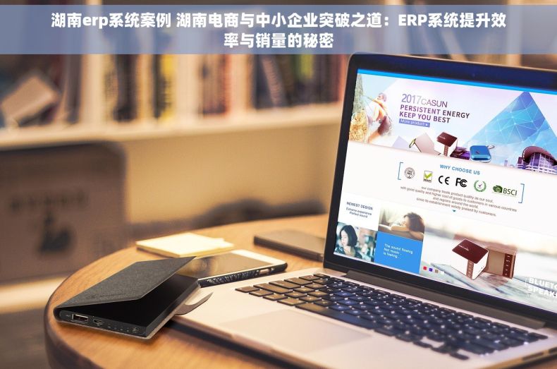 湖南erp系统案例 湖南电商与中小企业突破之道：ERP系统提升效率与销量的秘密