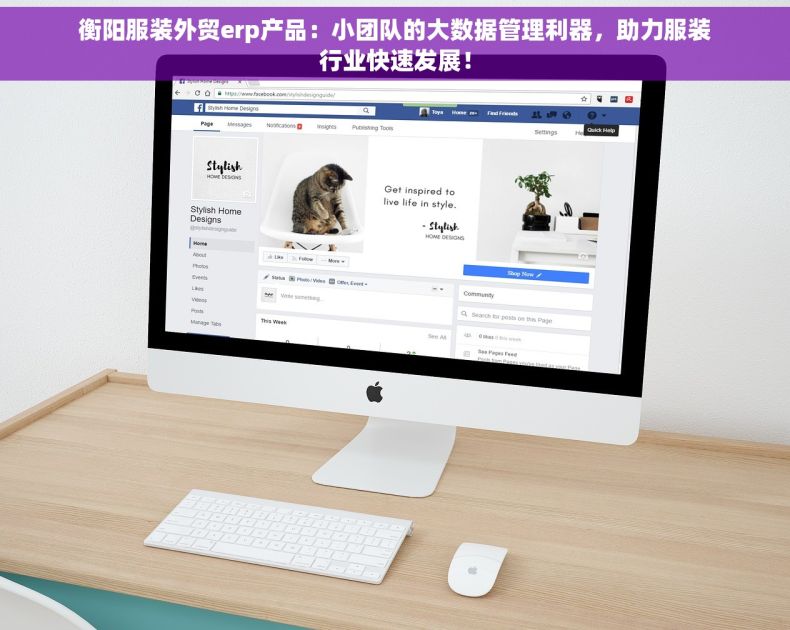 衡阳服装外贸erp产品：小团队的大数据管理利器，助力服装行业快速发展！