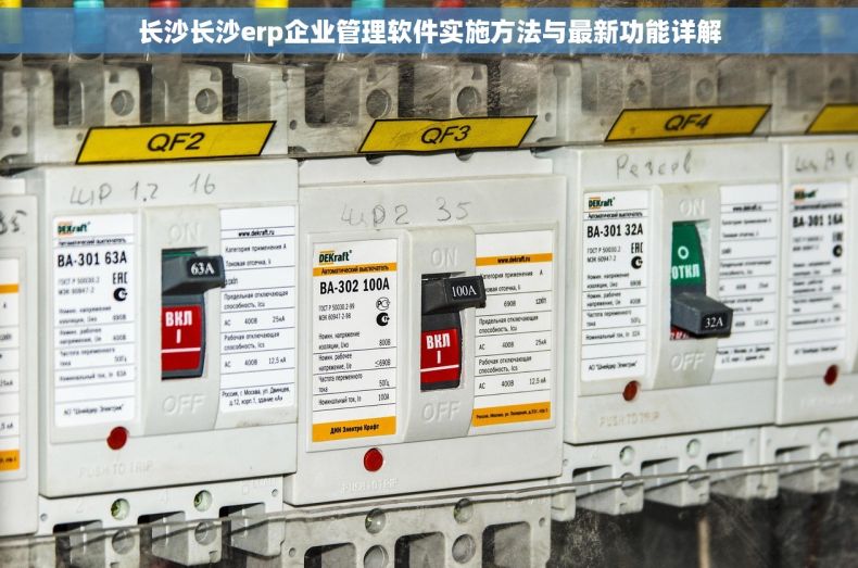 长沙长沙erp企业管理软件实施方法与最新功能详解