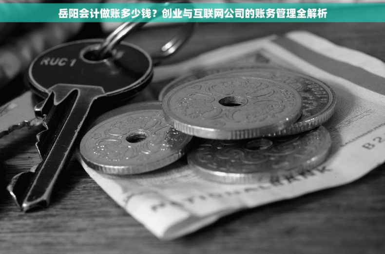 岳阳会计做账多少钱？创业与互联网公司的账务管理全解析