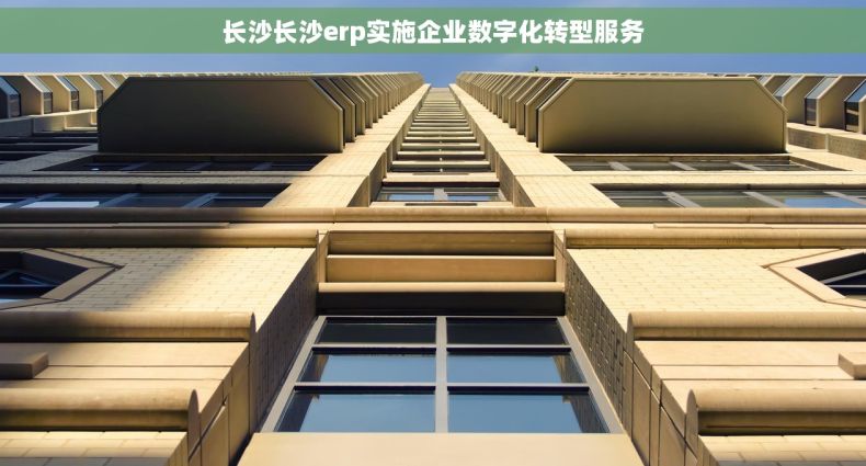 长沙长沙erp实施企业数字化转型服务