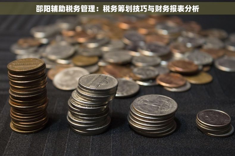 邵阳辅助税务管理：税务筹划技巧与财务报表分析