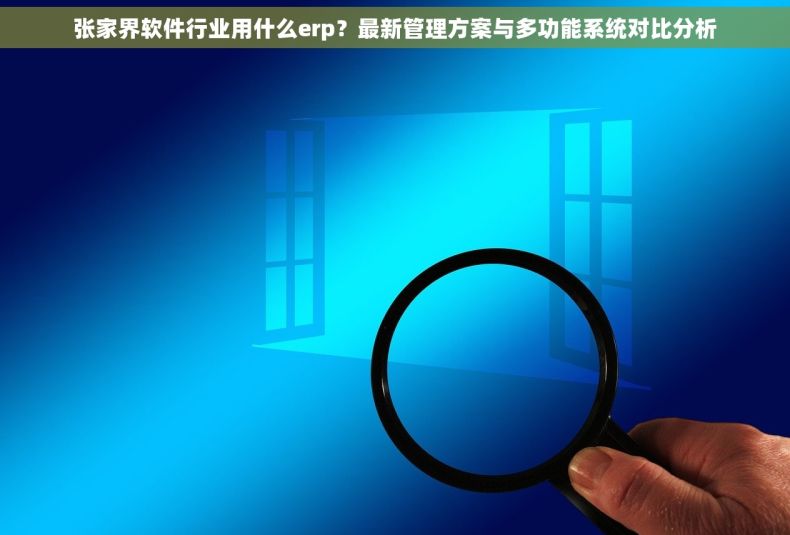 张家界软件行业用什么erp？最新管理方案与多功能系统对比分析