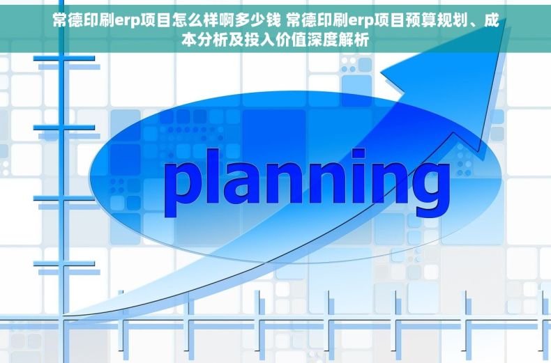 常德印刷erp项目怎么样啊多少钱 常德印刷erp项目预算规划、成本分析及投入价值深度解析