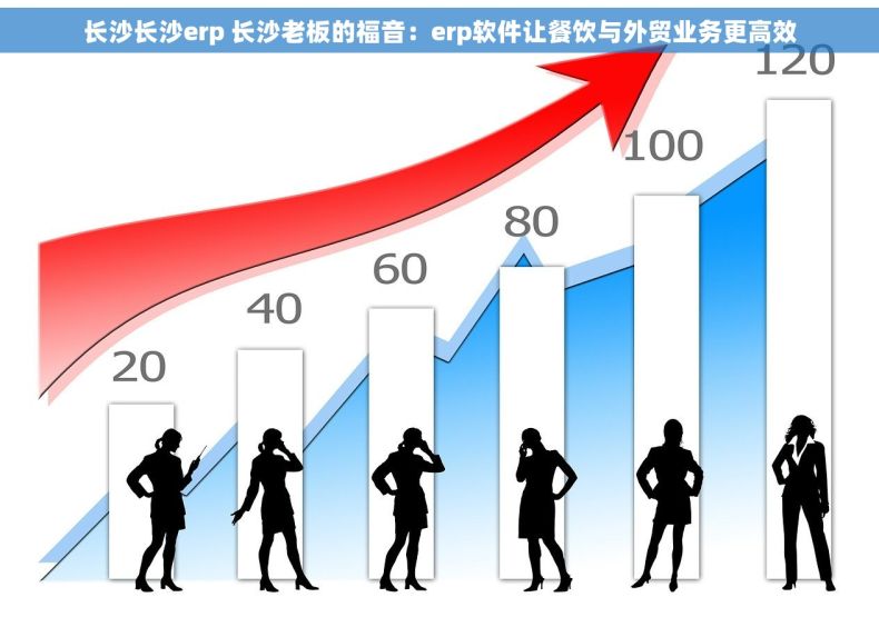 长沙长沙erp 长沙老板的福音：erp软件让餐饮与外贸业务更高效