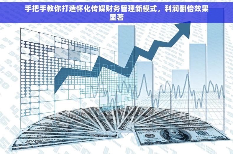手把手教你打造怀化传媒财务管理新模式，利润翻倍效果显著