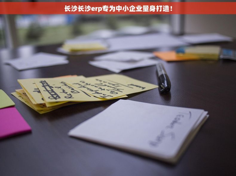 长沙长沙erp专为中小企业量身打造！