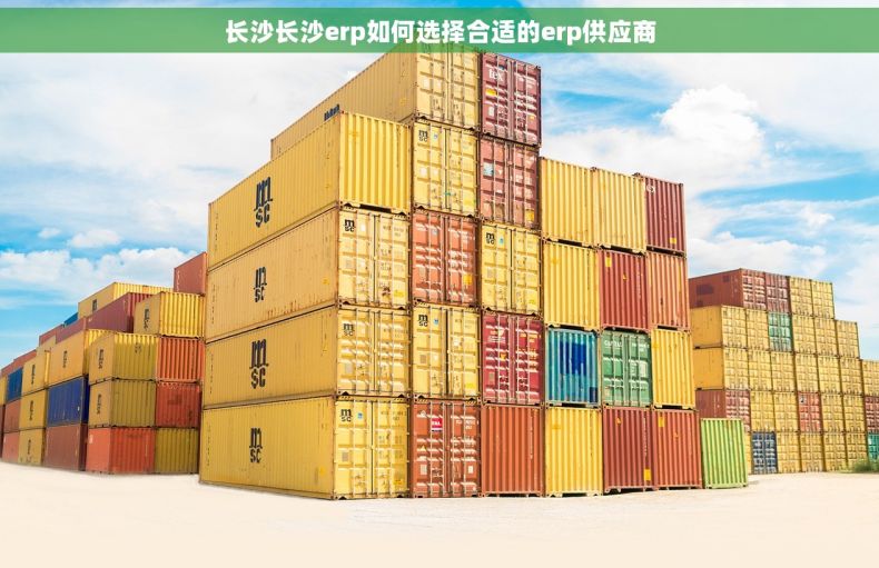 长沙长沙erp如何选择合适的erp供应商