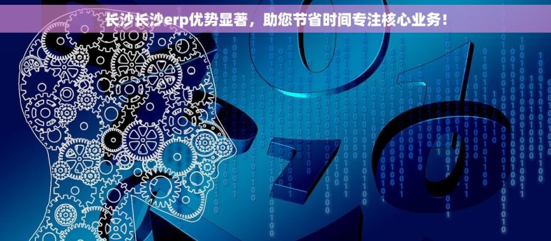 长沙长沙erp优势显著，助您节省时间专注核心业务！