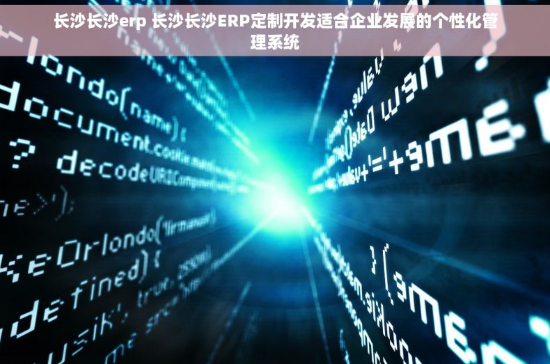 长沙长沙erp 长沙长沙ERP定制开发适合企业发展的个性化管理系统