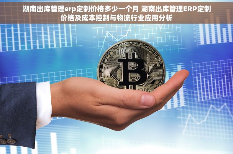 湖南出库管理erp定制价格多少一个月 湖南出库管理ERP定制价格及成本控制与物流行业应用分析