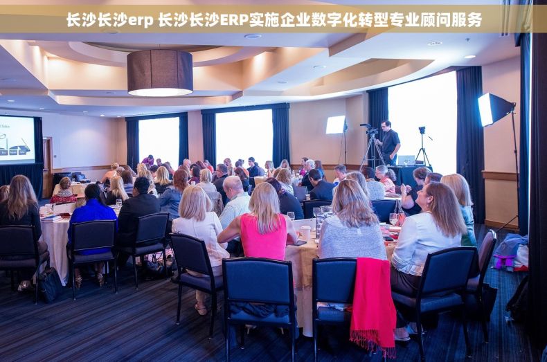 长沙长沙erp 长沙长沙ERP实施企业数字化转型专业顾问服务