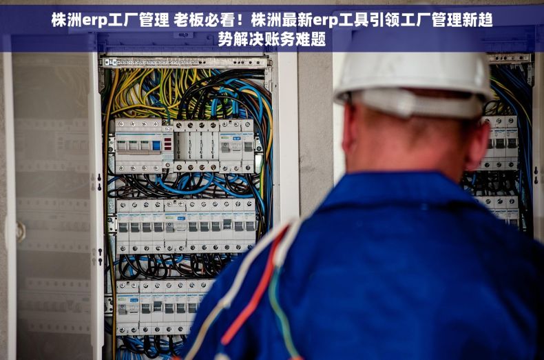 株洲erp工厂管理 老板必看！株洲最新erp工具引领工厂管理新趋势解决账务难题