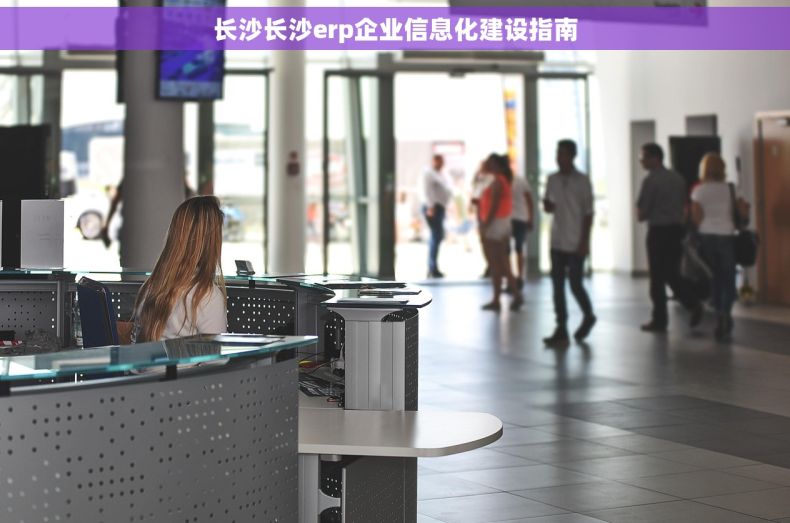 长沙长沙erp企业信息化建设指南