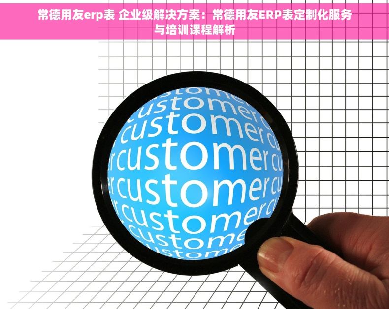 常德用友erp表 企业级解决方案：常德用友ERP表定制化服务与培训课程解析