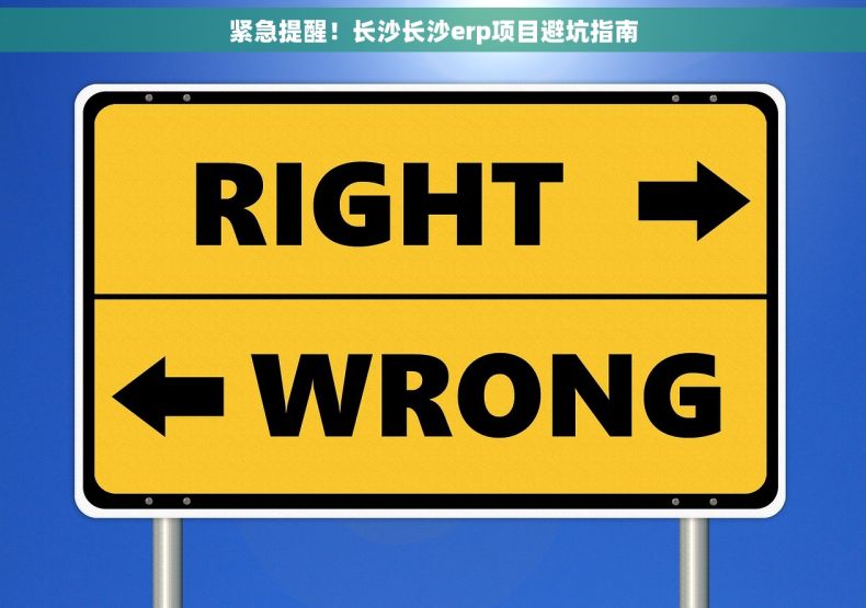 紧急提醒！长沙长沙erp项目避坑指南