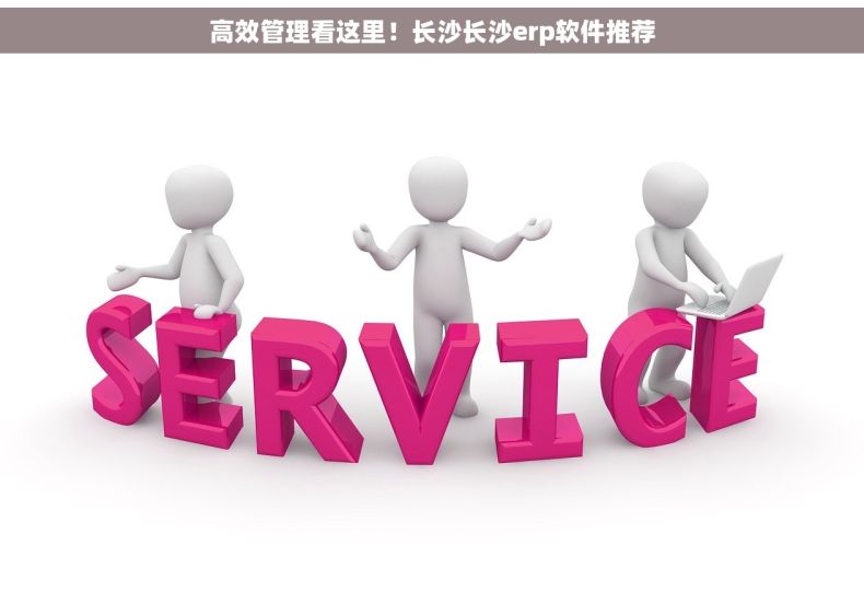 高效管理看这里！长沙长沙erp软件推荐