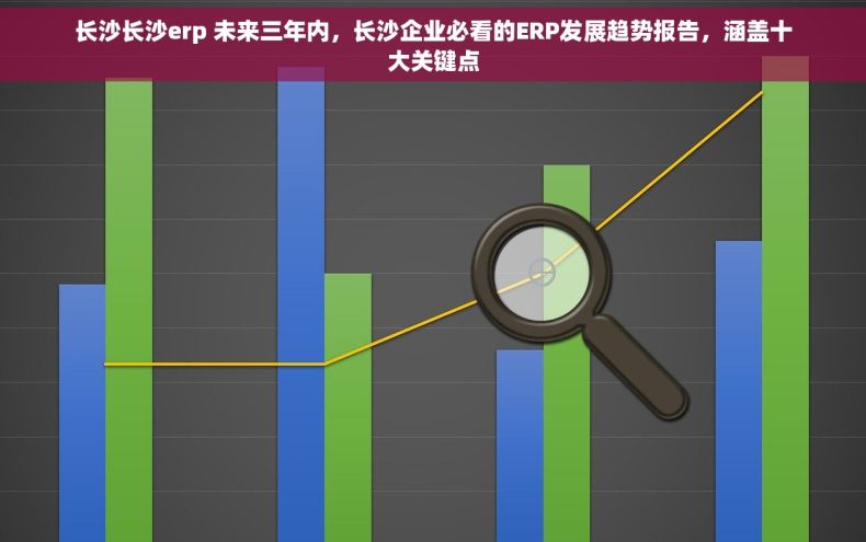 长沙长沙erp 未来三年内，长沙企业必看的ERP发展趋势报告，涵盖十大关键点
