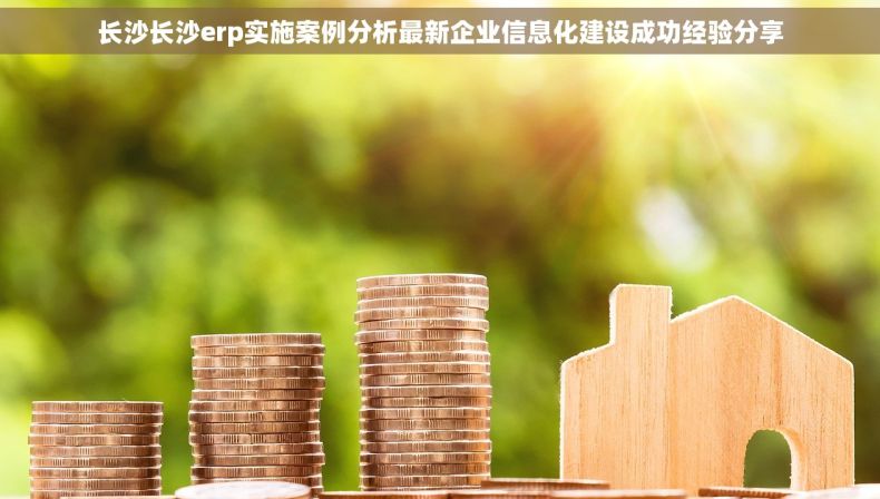 长沙长沙erp实施案例分析最新企业信息化建设成功经验分享
