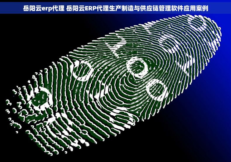 岳阳云erp代理 岳阳云ERP代理生产制造与供应链管理软件应用案例