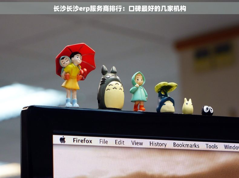长沙长沙erp服务商排行：口碑最好的几家机构