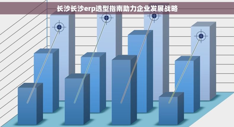 长沙长沙erp选型指南助力企业发展战略