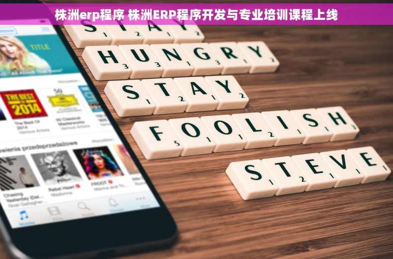 株洲erp程序 株洲ERP程序开发与专业培训课程上线
