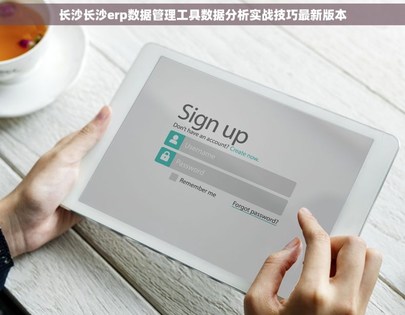 长沙长沙erp数据管理工具数据分析实战技巧最新版本