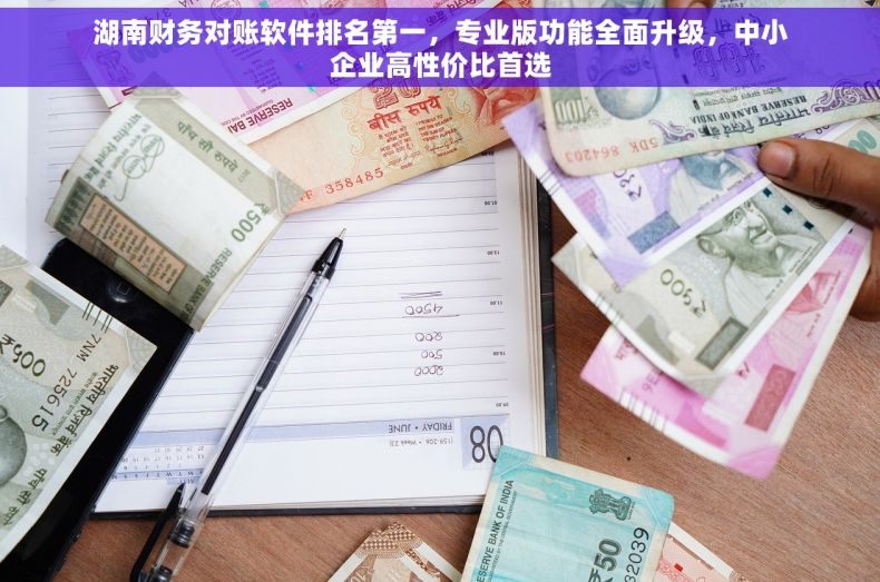 湖南财务对账软件排名第一，专业版功能全面升级，中小企业高性价比首选