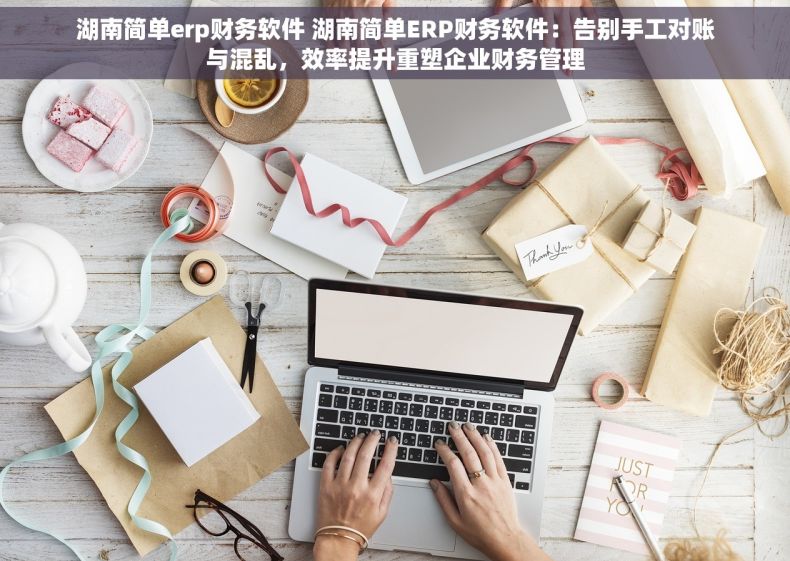 湖南简单erp财务软件 湖南简单ERP财务软件：告别手工对账与混乱，效率提升重塑企业财务管理