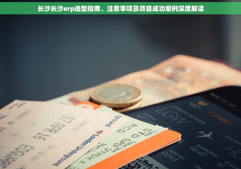 长沙长沙erp选型指南、注意事项及项目成功案例深度解读