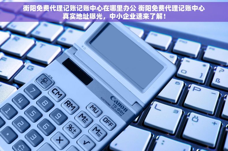 衡阳免费代理记账记账中心在哪里办公 衡阳免费代理记账中心真实地址曝光，中小企业速来了解！