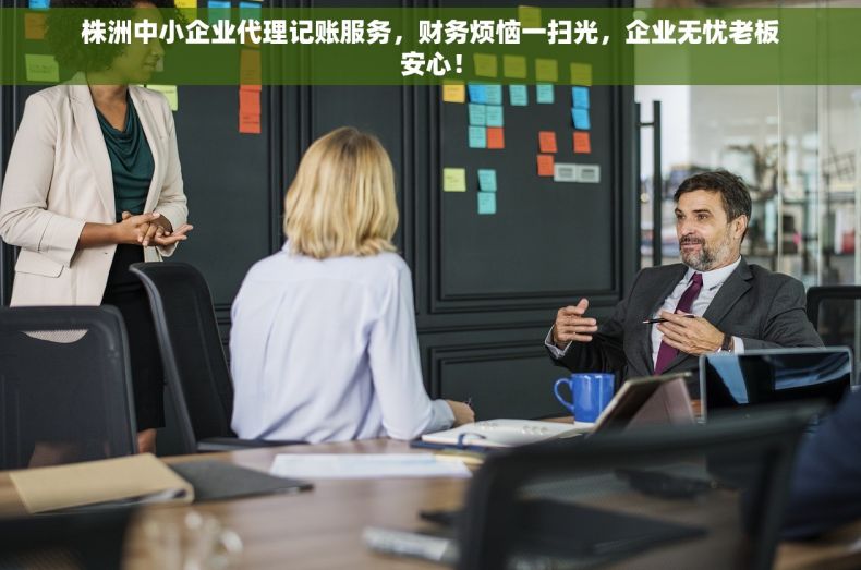 株洲中小企业代理记账服务，财务烦恼一扫光，企业无忧老板安心！