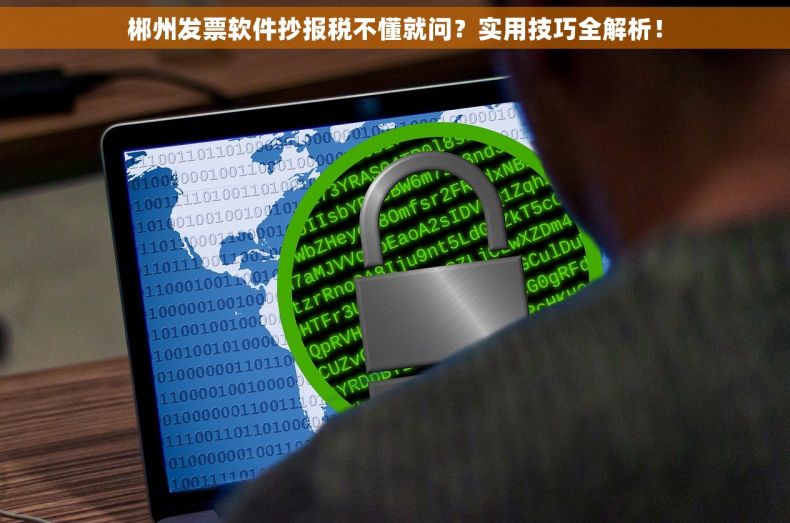 郴州发票软件抄报税不懂就问？实用技巧全解析！