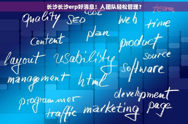 长沙长沙erp好消息！人团队轻松管理？