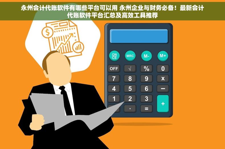 永州会计代账软件有哪些平台可以用 永州企业与财务必备！最新会计代账软件平台汇总及高效工具推荐
