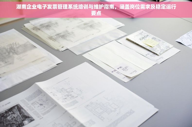湖南企业电子发票管理系统培训与维护指南，涵盖岗位需求及稳定运行要点